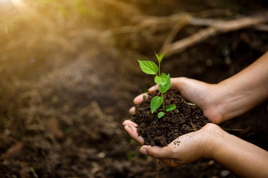 ISO 14001:2026