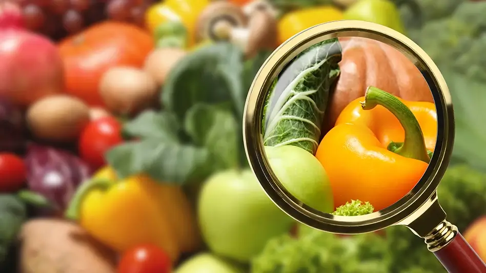Benefits of ISO 22000 Certification