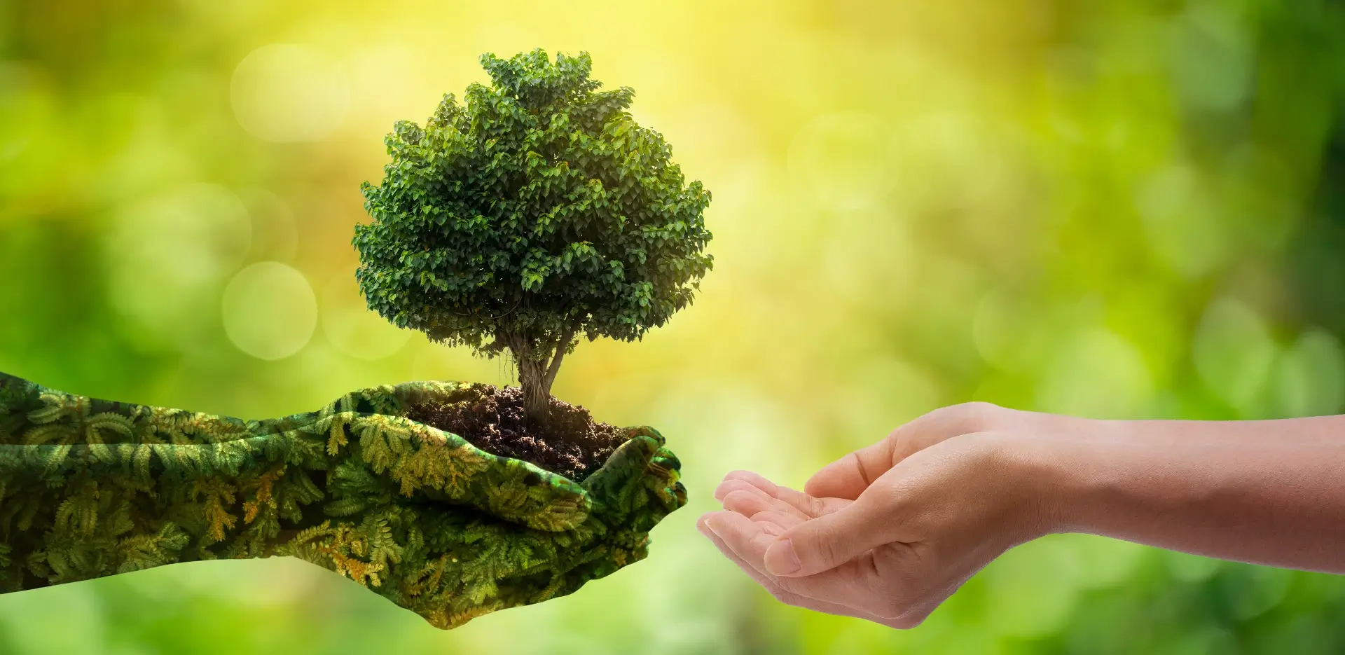 ISO 14001 Requirements